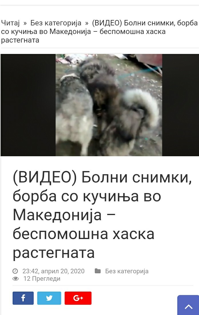 ??????? ???? ?????????