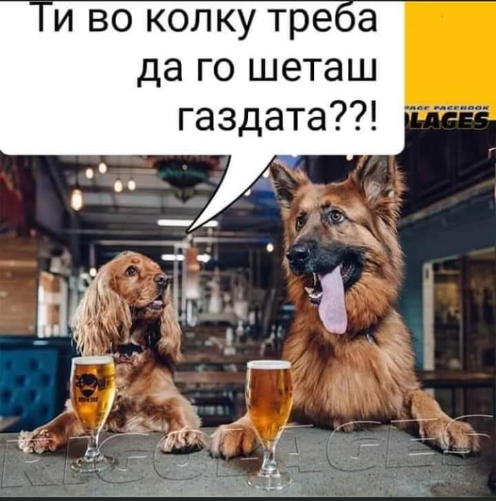 ??????? ???? ?????????